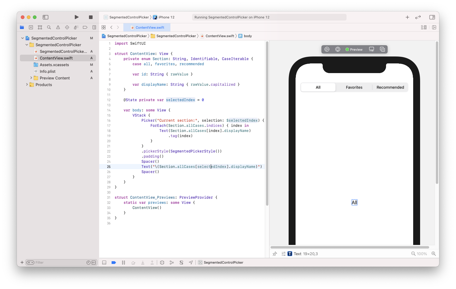 Segmented Control Xcode Project